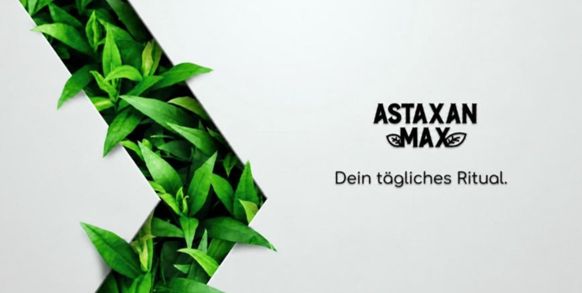Astaxanmax – Dein tägliches Ritual.